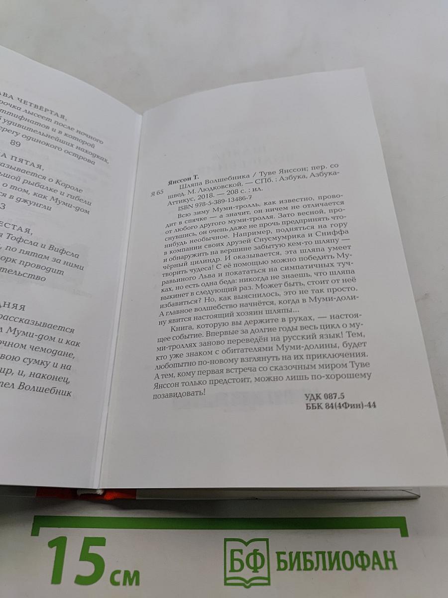 Шляпа волшебника