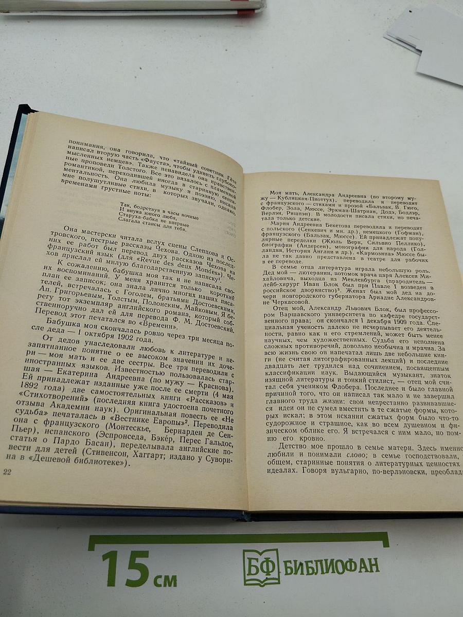 Я лучшей доли не искал... Судьба Александра Блока в письмах, дневниках, воспоминаниях