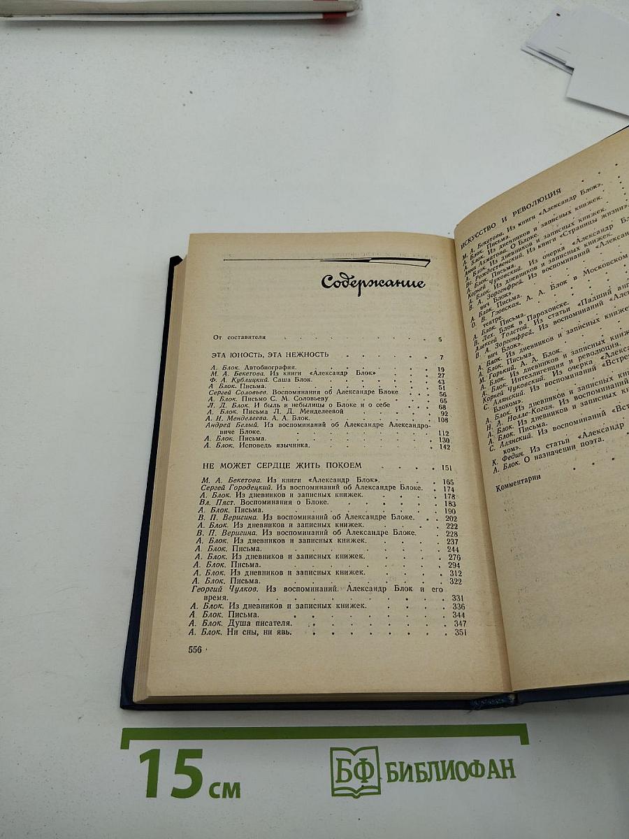 Я лучшей доли не искал... Судьба Александра Блока в письмах, дневниках, воспоминаниях