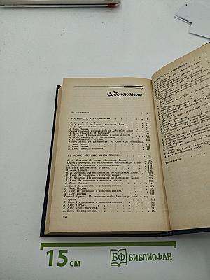 Я лучшей доли не искал... Судьба Александра Блока в письмах, дневниках, воспоминаниях