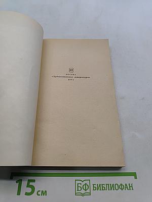 Дубровский. Капитанская дочка