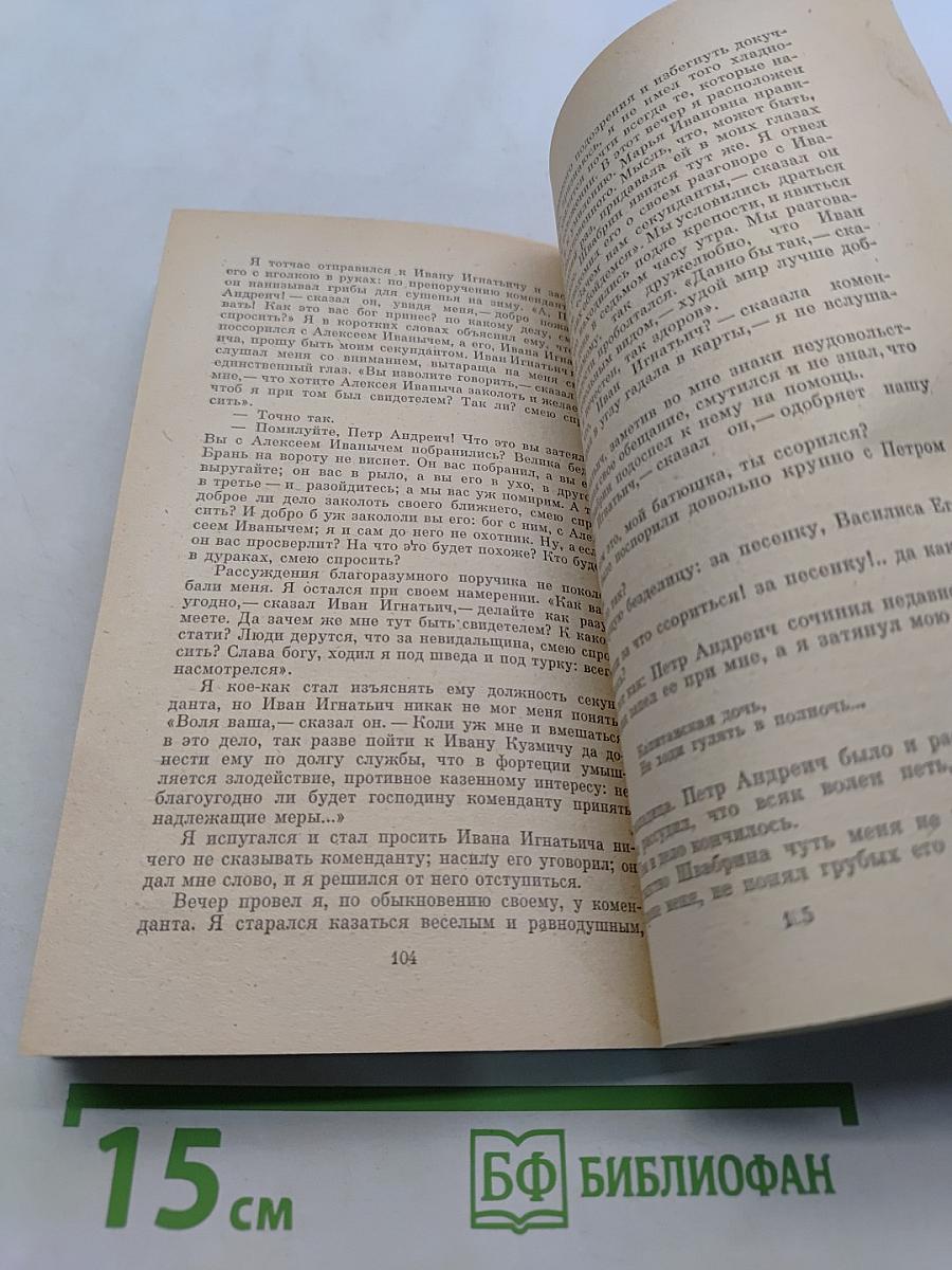 Дубровский. Капитанская дочка