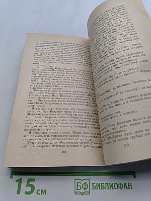 Дубровский. Капитанская дочка