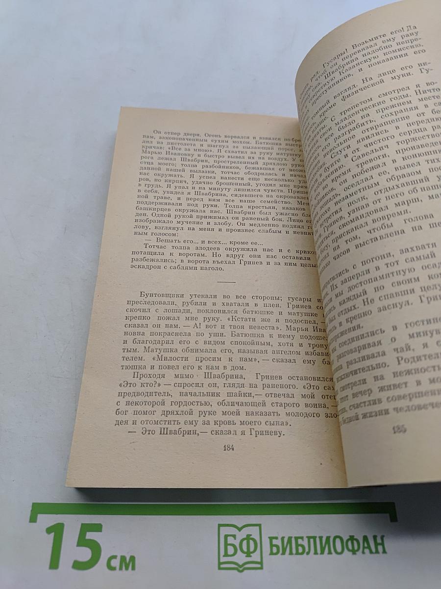 Дубровский. Капитанская дочка