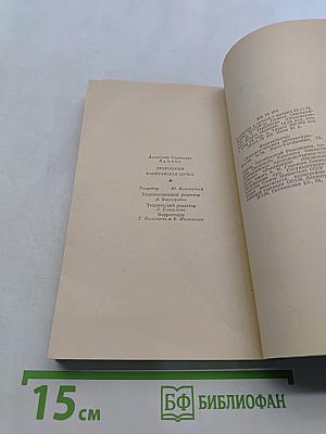 Дубровский. Капитанская дочка