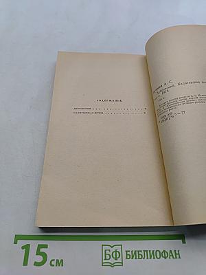 Дубровский. Капитанская дочка