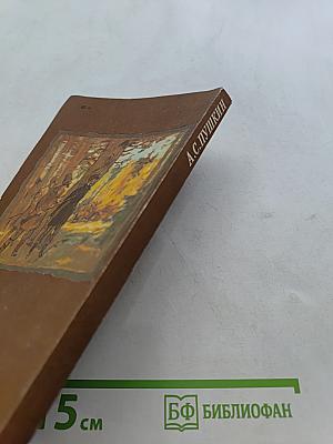 Дубровский. Капитанская дочка