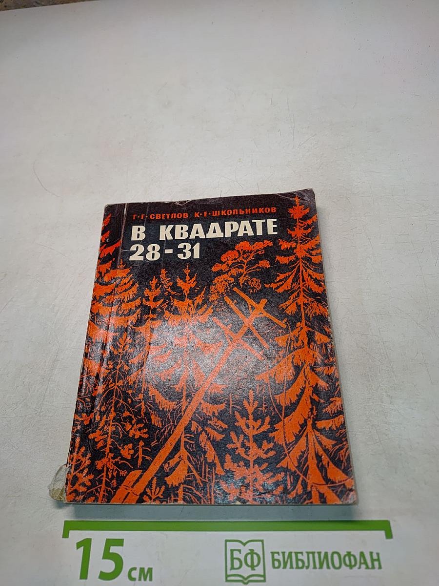 В квадрате 28-31