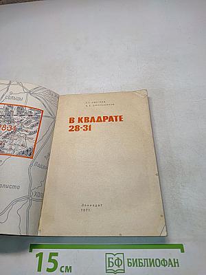 В квадрате 28-31