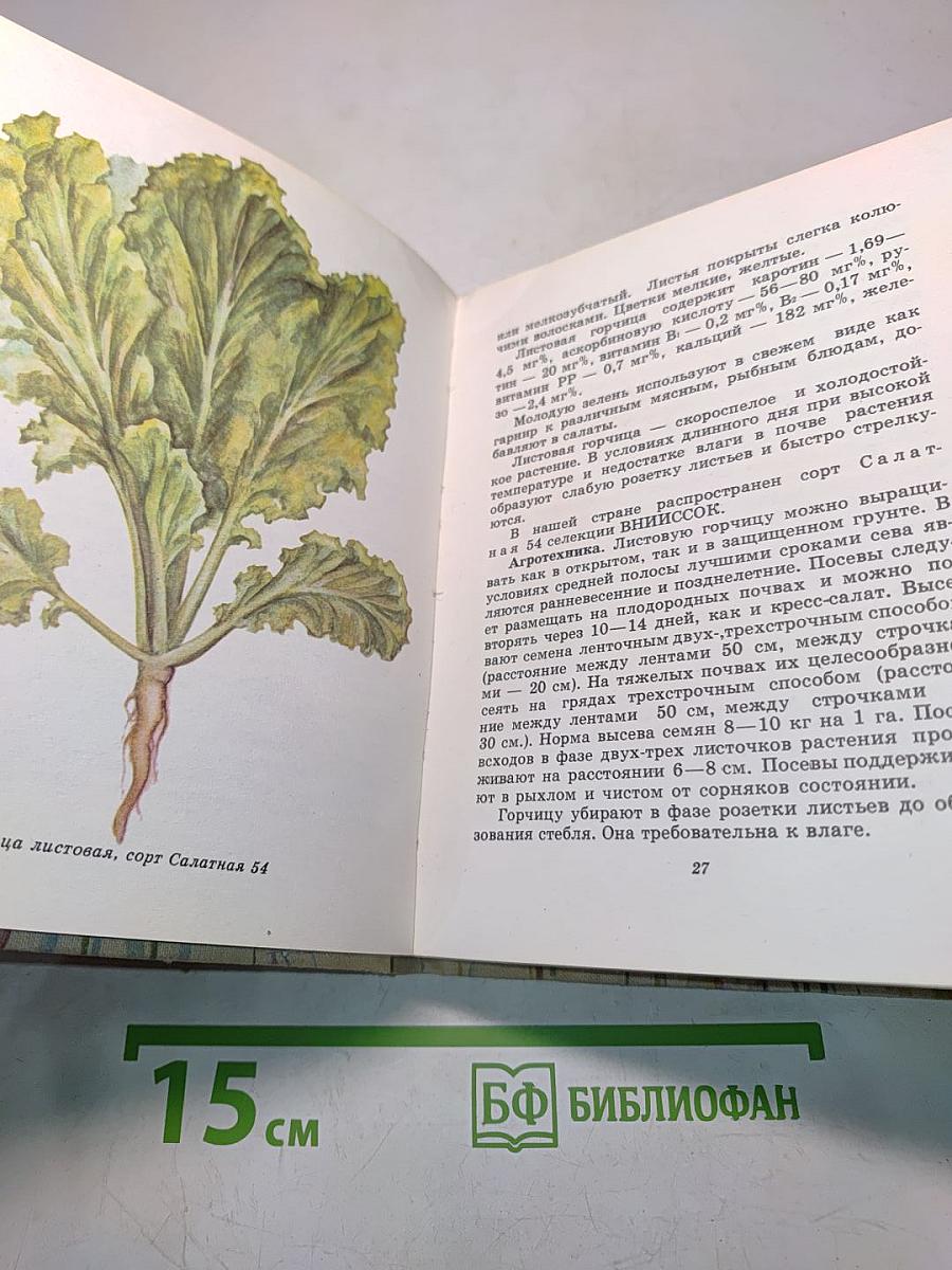 Зеленные и пряные овощные культуры