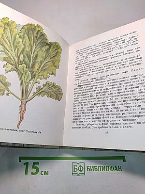 Зеленные и пряные овощные культуры