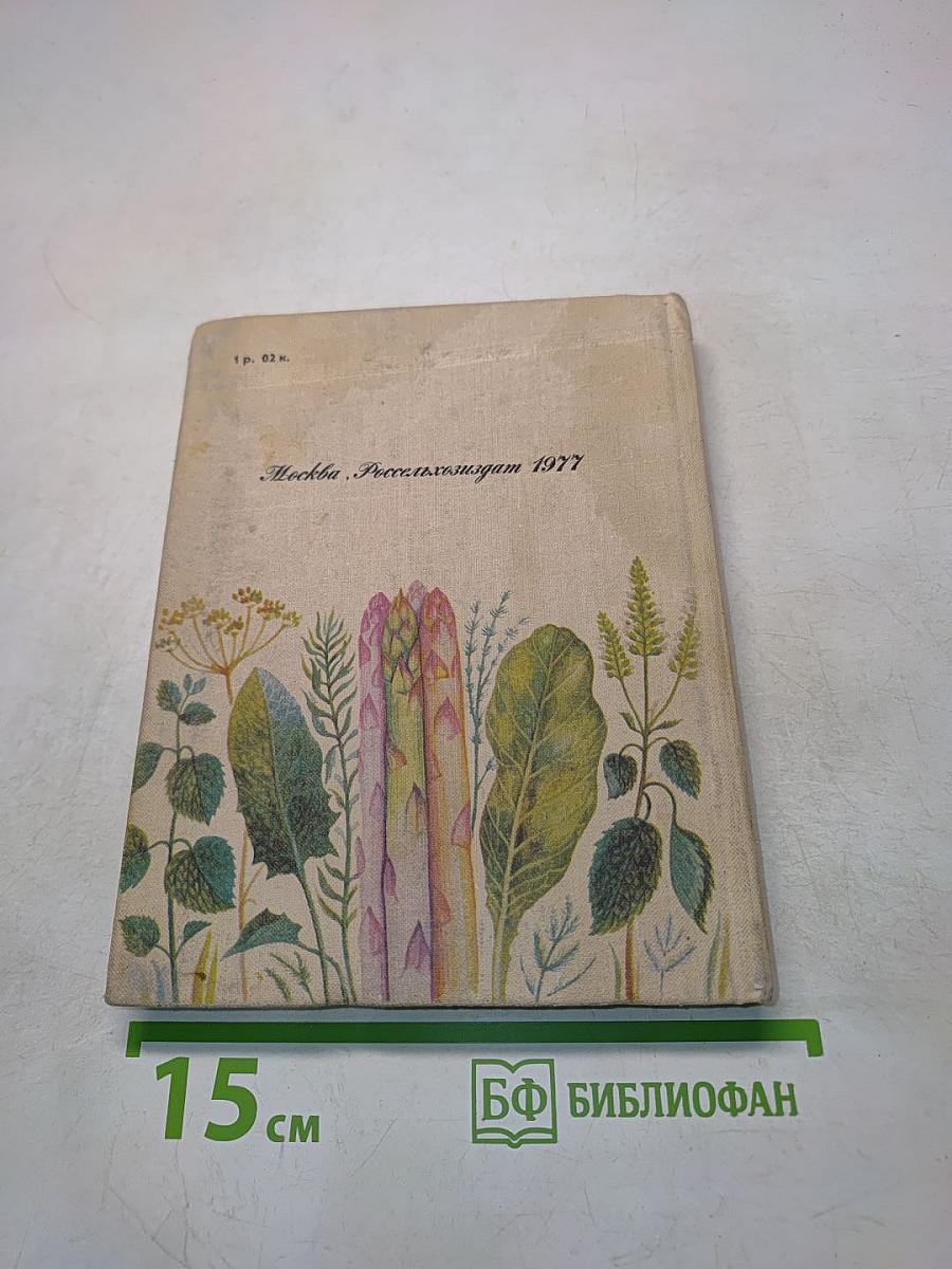 Зеленные и пряные овощные культуры