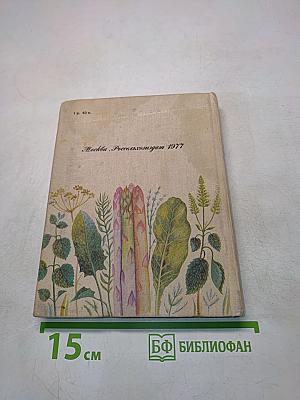 Зеленные и пряные овощные культуры