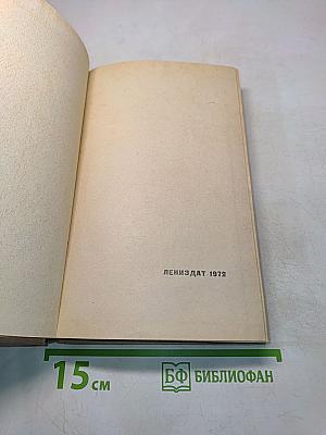 Выстрел на Фонтанке