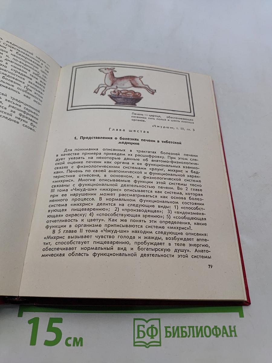 Очерки тибетской медицины