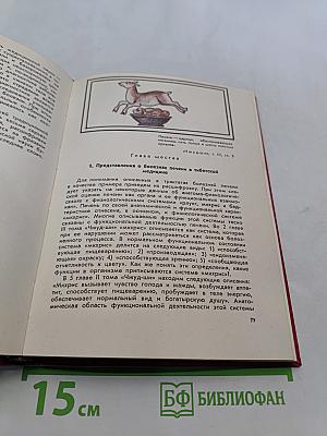 Очерки тибетской медицины
