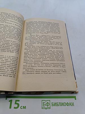 Штурмогель без свастики