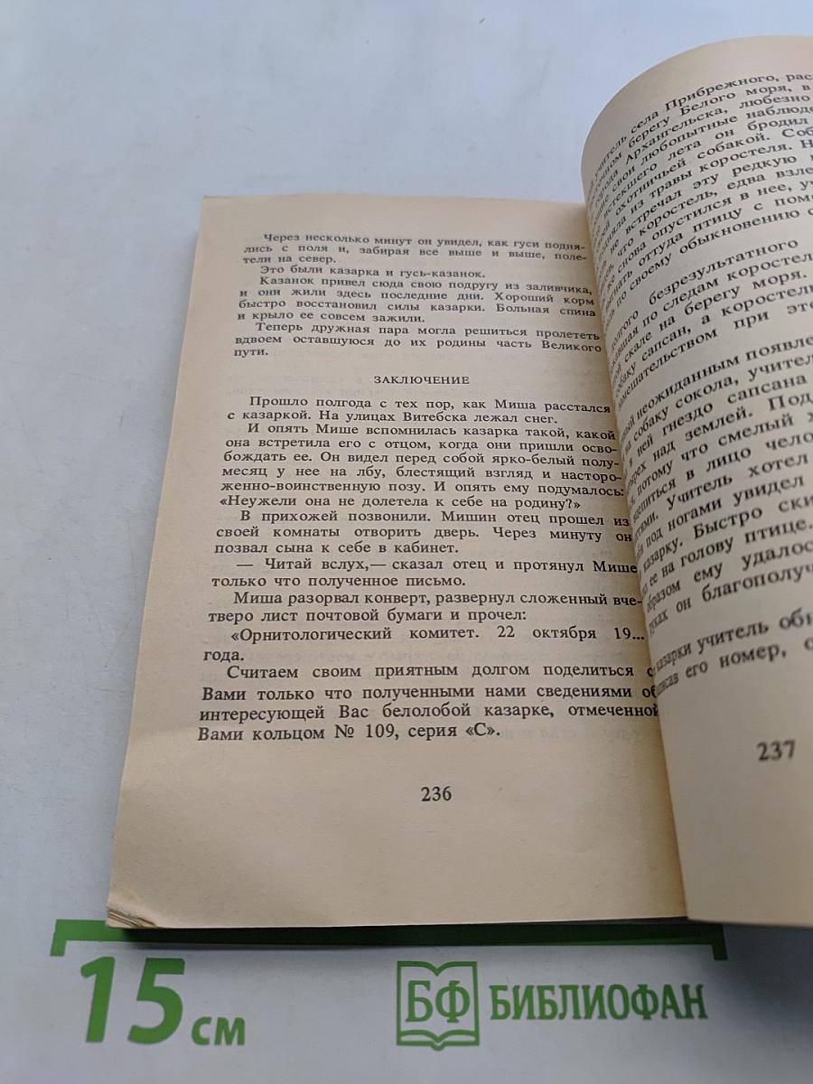 Кувырк и другие рассказы