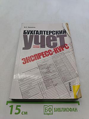 Бухгалтерский учет. Экспресс-курс