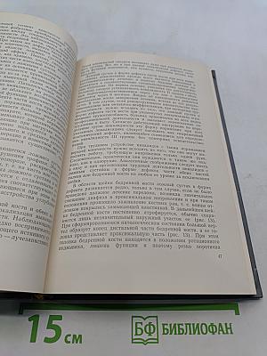 Травматические повреждения костно-суставного аппарата конечностей как причина инвалидности