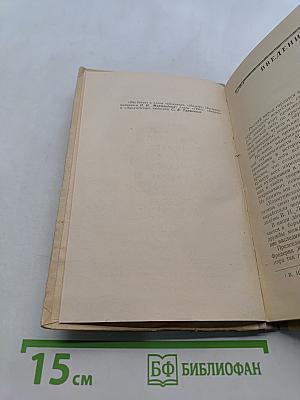 Западноевропейская литература. Пособие для средней школы. Издание второе