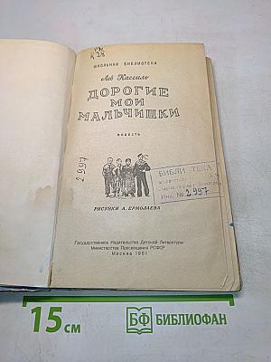 Дорогие мои мальчишки
