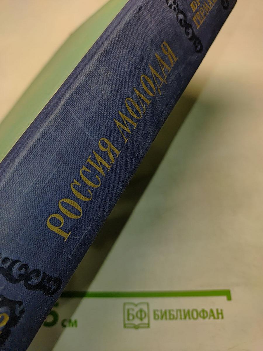 Россия молодая