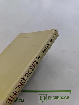 Джорджоне. Очерки о творчестве