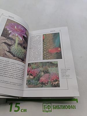 Кактусы и другие суккуленты. Справочник