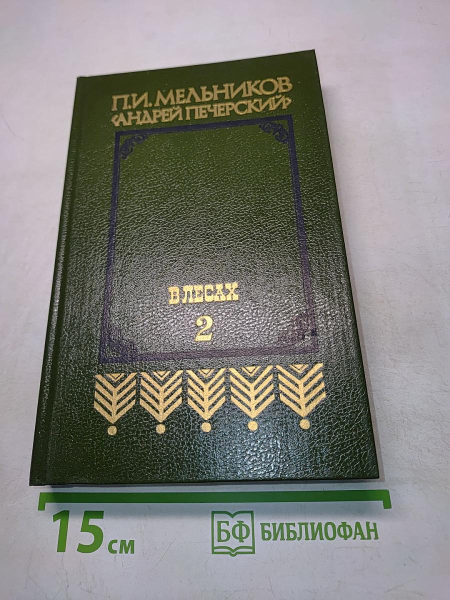 В лесах. Книга вторая