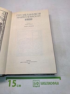 В лесах. Книга вторая