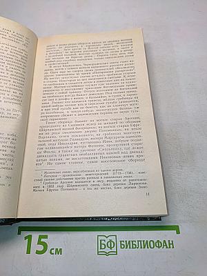 В лесах. Книга вторая