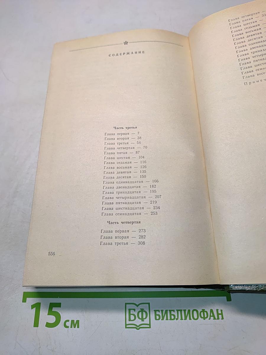 В лесах. Книга вторая