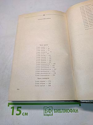 В лесах. Книга вторая