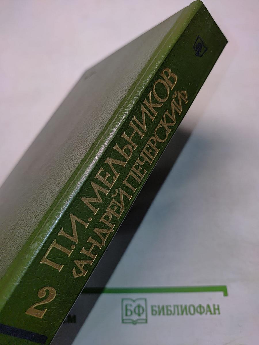 В лесах. Книга вторая