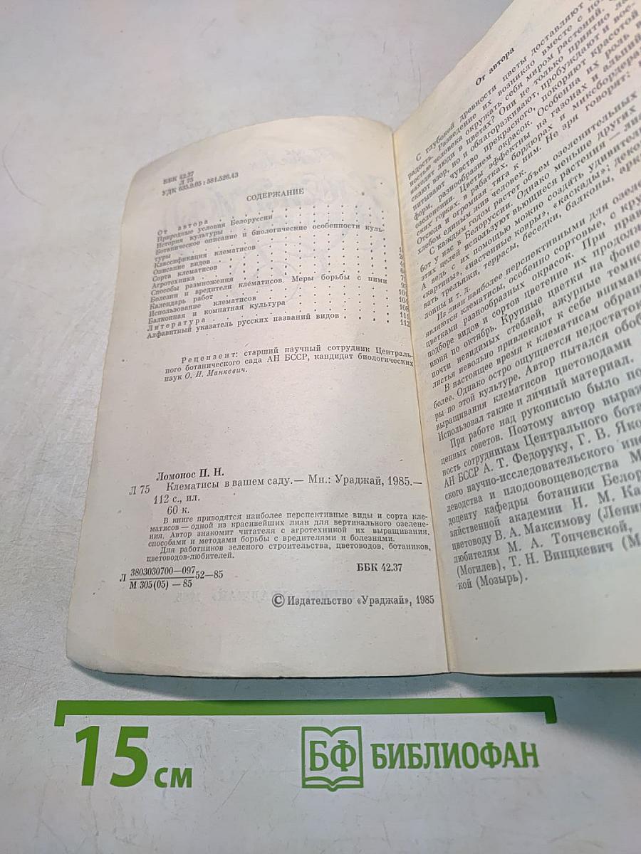 Клематисы в вашем саду