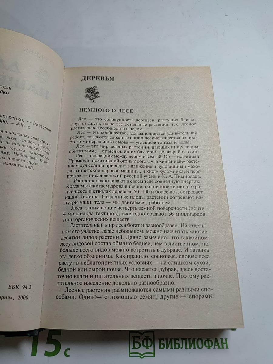 Дары нашего леса