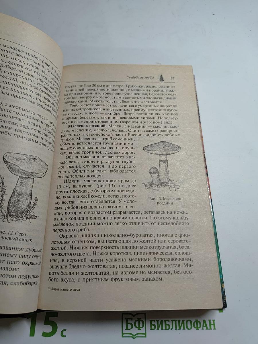 Дары нашего леса