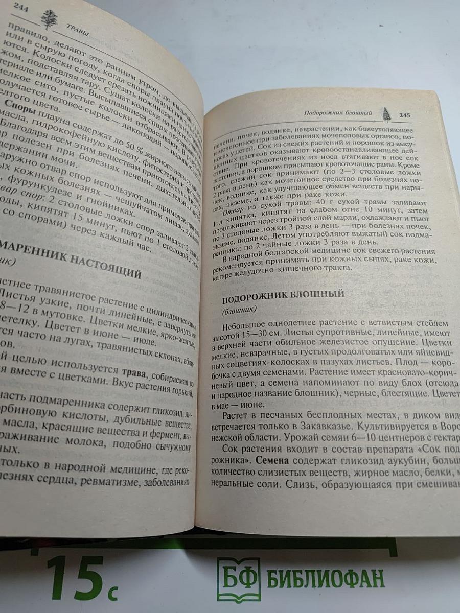 Дары нашего леса