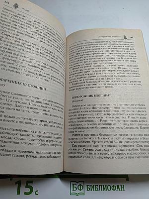 Дары нашего леса