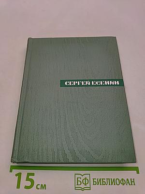Собрание сочинений. Том четвертый. Проза. Статьи и заметки