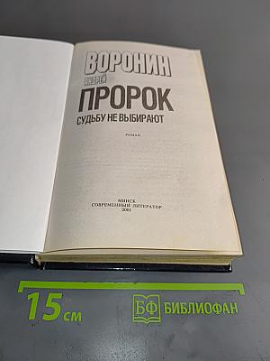 Порок. Судьбу не выбирают