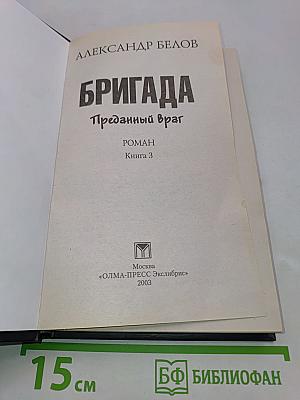 Бригада. Преданный враг. Книга 3