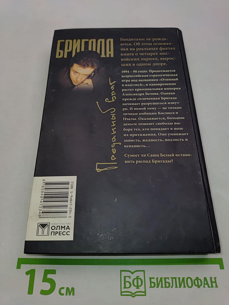 Бригада. Преданный враг. Книга 3