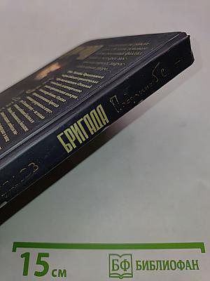 Бригада. Преданный враг. Книга 3
