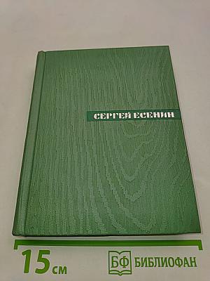 Собрание сочинений. Том первый. Стихотворения и поэмы (1910—октябрь 1917)