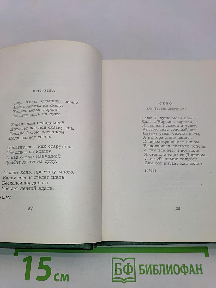 Собрание сочинений. Том первый. Стихотворения и поэмы (1910—октябрь 1917)