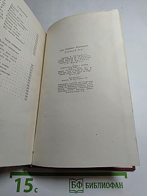 Ледяной дом