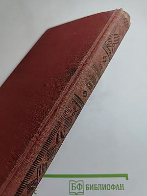 Ледяной дом