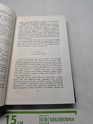 Собрание сочинений. Том семнадцатый. Холодный дом